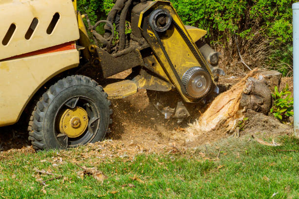 Best Commercial Tree Services  in Troy, TX